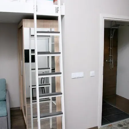 Apartament Silver Star Apartment *