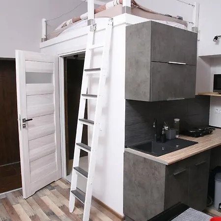 Apartament Silver Star *